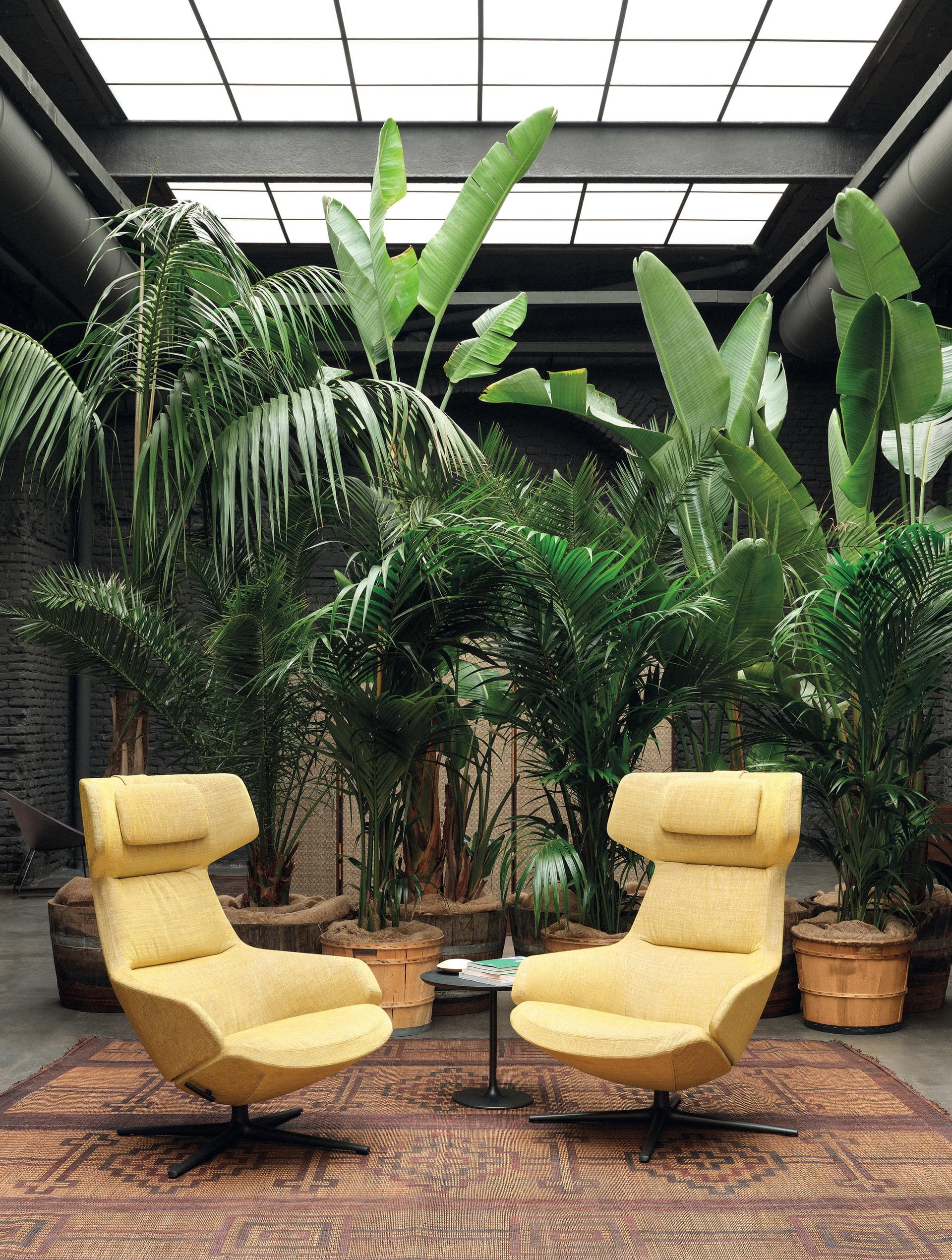 arper aston club armchairs